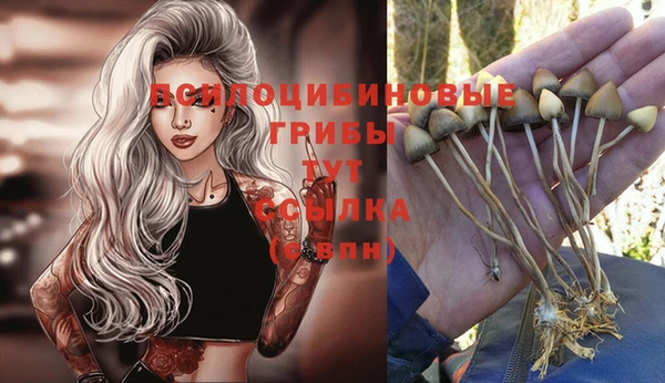 мет Алзамай